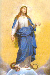 novena89